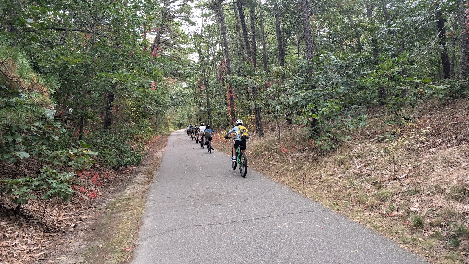 Scouts biking at Nickerson State Park.